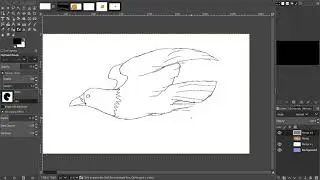 Drawing - How to Draw a Seagull