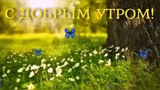С добрым утром и прекрасного дня! Красивое пожелание с добрым утром!