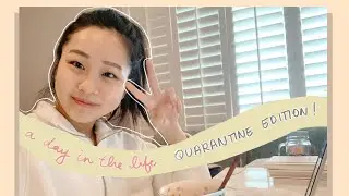 CAROLINE AT CHAN: A Day in the Life (Quarantine Edition)