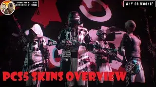 PUBG PCS5 SKINS OVERVIEW