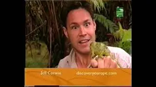 Animal Planet Ad/Commercial Breaks | 2000