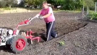Осенняя вспашка огорода мотоблоком МОТОР СИЧ
