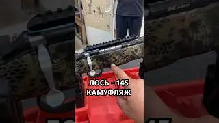Карабин Лось 145 308 win