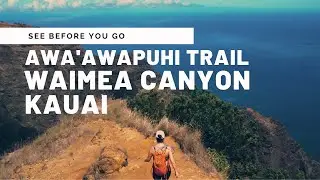 Hiking the Awa'awapuhi Trail in Waimea Canyon, Kauai | Top Hikes in Kauai
