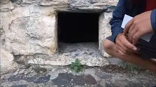 Даргавс