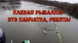 Хорошая рыбалка на Камчатке
