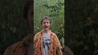 stuck in the rain