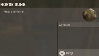 Horse Dung :)
