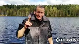 КОП ЗОЛОТА НА ЛЕСНОМ ОЗЕРЕ И В ОКРЕСТНОСТЯХ!!!)))
