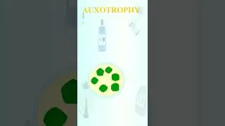 Auxotrophy