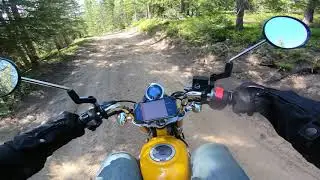 2019 Honda Monkey Goes Offroad In Colorado!