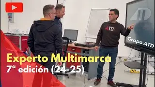 Experto en diagnosis Multimarca (7ªedición)