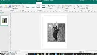 Publisher Screencast