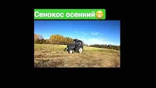 🌾🌿🔆Сенокос осенний на МТЗ-82(Покос травы на заброшенном поле)