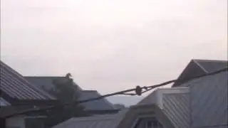 Morning (Please turn up the volume lol)