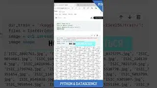 Урок 16. Пайтон программирование с нуля, Python видео уроки для начинающих 