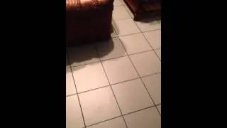 (Tuto) Être dans le noir