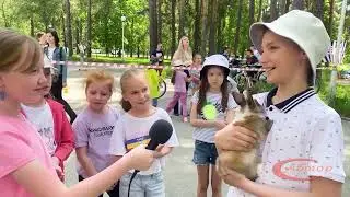 Телепередача 