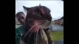 MEOWWWWW :D