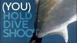 Deep Spearfishing Encyclo: (You) Hold, Dive, Shoot. Pt.5!