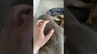 Сладкий пирожочек🥺☺️