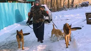 Она взрослеет и показывает характер