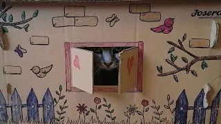 Rabbit and kitty have made friends now Daddy cat beware