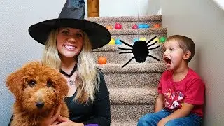 Witch Steals Golden Doodle Puppy!