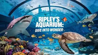 UNLOCK the Wonders of Toronto's RIPLEY'S AQUARIUM