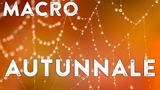 MACRO in AUTUNNO: cosa fotografare?