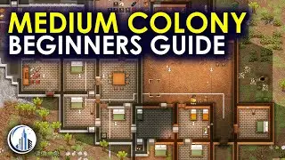 This Is A Successful Medium-Sized Colony | RimWorld Ultimate Beginners Guide For 2024