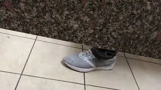 poop