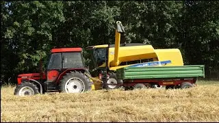 Żniwa 2019🌾🌾  New Holland w akcji!