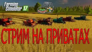 Долгожданная уборка НА КУРАЕ |ФС 17| СТРИМИМ С БРИГАДОЙ