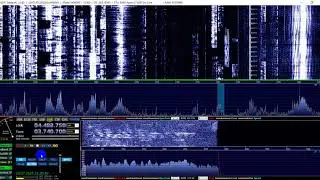 Войска NATO передают информацию о коронавирусе COVID-19? 80м диапазон, SSB (USB), радиосвязь