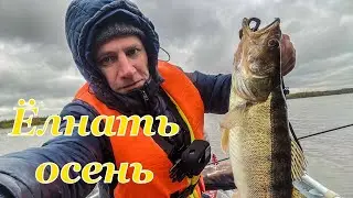 Рыбалка на р. Елнать осенью 300 км. от дома