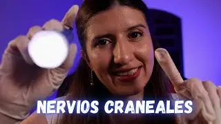 ASMR Examen de Nervios Craneales - Asmr en español