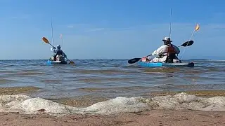 Structure fishing at Howard Park. (Multi Species)