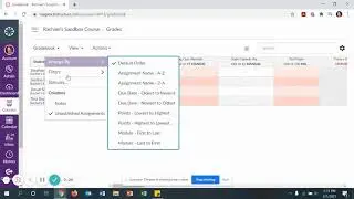 Canvas Notes Column in Gradebook