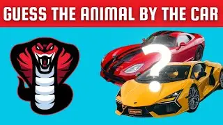 Guess the Animal by the Car