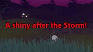A shiny appeared after the space time distortion!!
