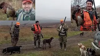 13 выход - 13 числа за фазаном