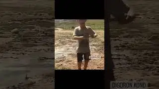 Туфли муфли