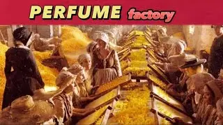 How Perfume is made/perfume factory/to.know.how?#making #viral