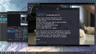 DHCP Server on Oracle VBox