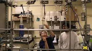 Summer Research Opportunity Program (SROP)