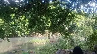Río En Barrosa Carretera Costera Del Golfo Veracruz