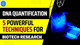 DNA Quantification: Mastering DNA Quantification Techniques| 5 Powerful Tools for Biotech Research