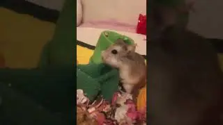 Why is it Monday again? 