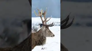 Why you should shoot raw on cameras!